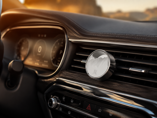 Veairy car diffuser — choose your scent family: Wood, Fresh, Floral or Fruit
