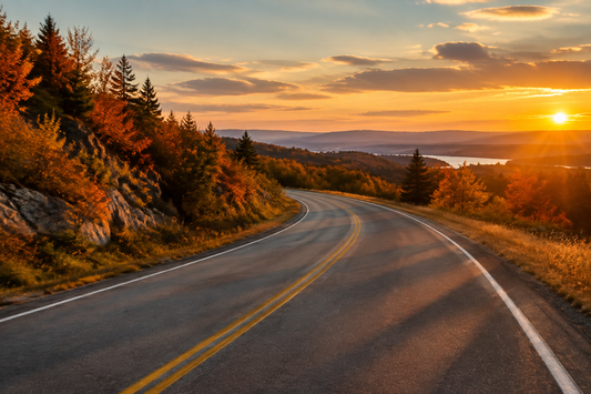 How to Give Your Car Interior a Refresh in One Weekend