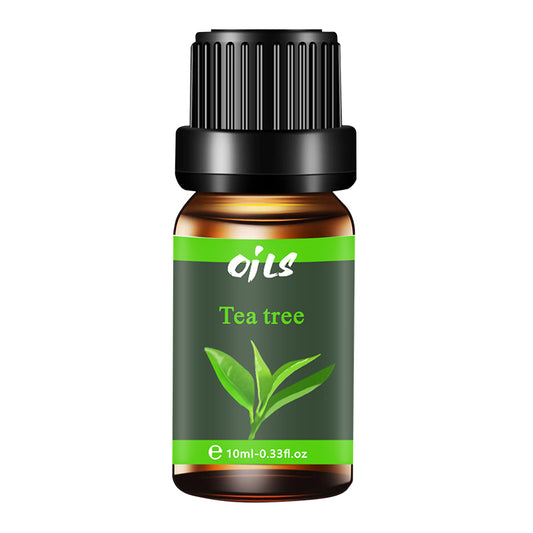 Wood Series Essential Oils | 10ml Single & 6-Scent Gift Set