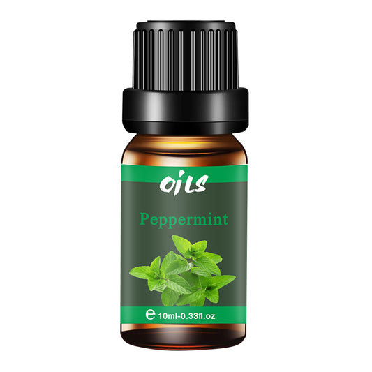 Fresh Series Essential Oils | 10ml Single & 6-Scent Gift Set