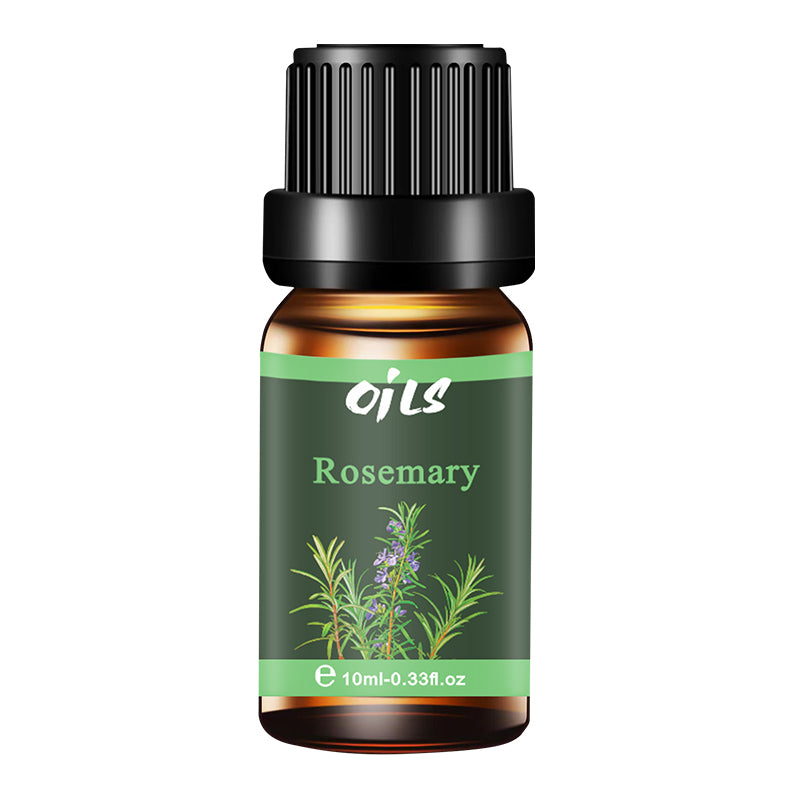 Fresh Series Essential Oils | 10ml Single & 6-Scent Gift Set Fresh Rosemary – 10ml